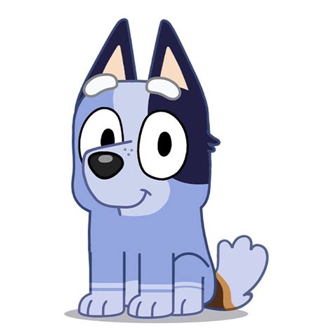 all bluey episodes with socks